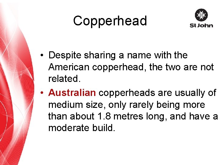 Copperhead • Despite sharing a name with the American copperhead, the two are not