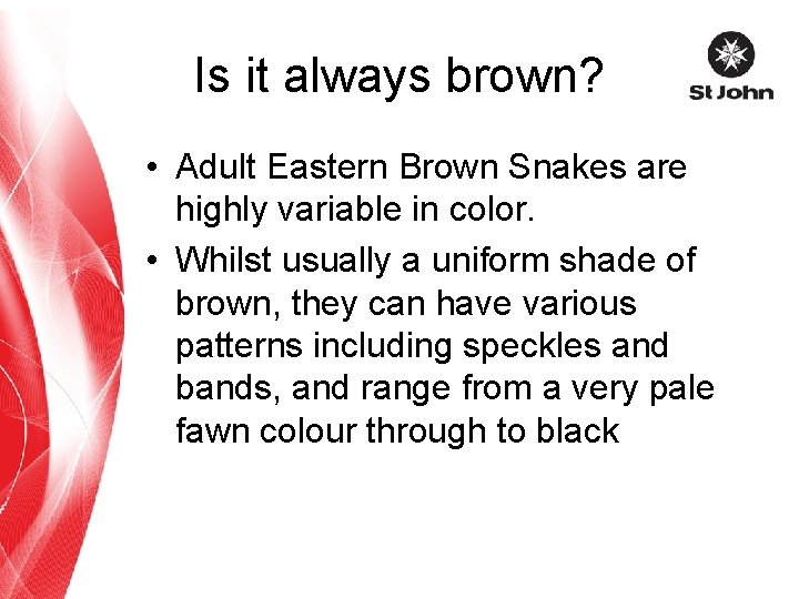 Is it always brown? • Adult Eastern Brown Snakes are highly variable in color.