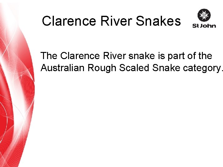 Clarence River Snakes The Clarence River snake is part of the Australian Rough Scaled