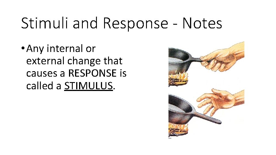Stimuli and Response - Notes • Any internal or external change that causes a
