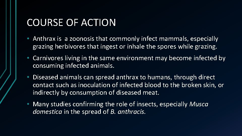 COURSE OF ACTION • Anthrax is a zoonosis that commonly infect mammals, especially grazing