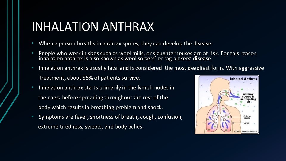 INHALATION ANTHRAX • When a person breaths in anthrax spores, they can develop the