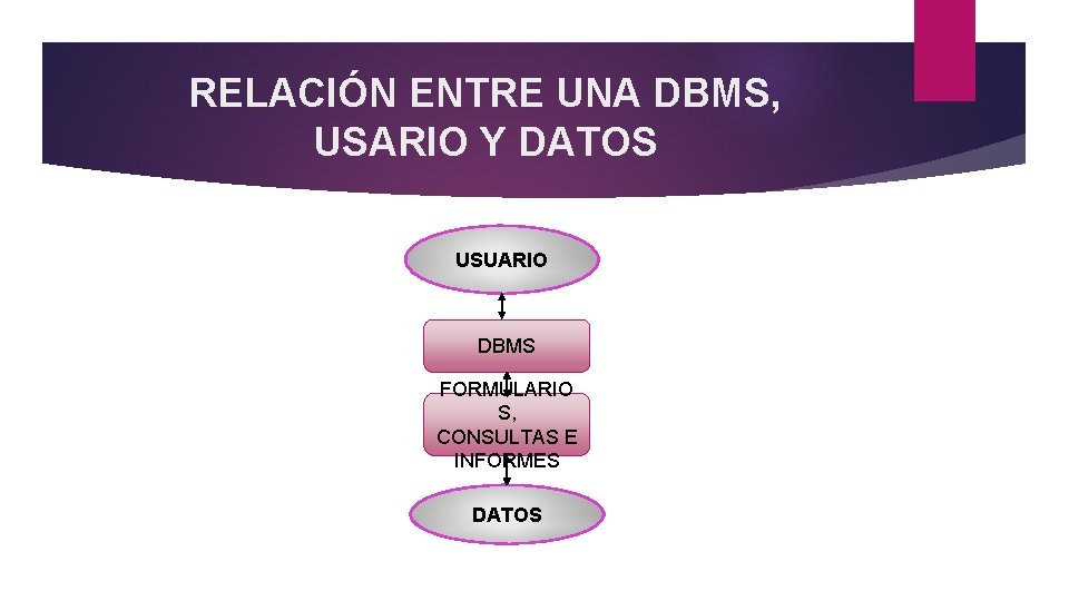 RELACIÓN ENTRE UNA DBMS, USARIO Y DATOS USUARIO DBMS FORMULARIO S, CONSULTAS E INFORMES