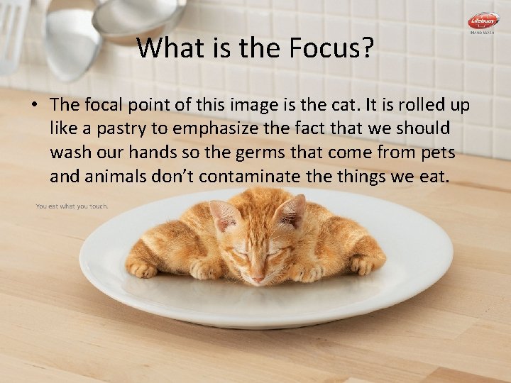 What is the Focus? • The focal point of this image is the cat.