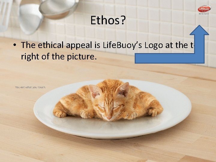 Ethos? • The ethical appeal is Life. Buoy’s Logo at the top right of