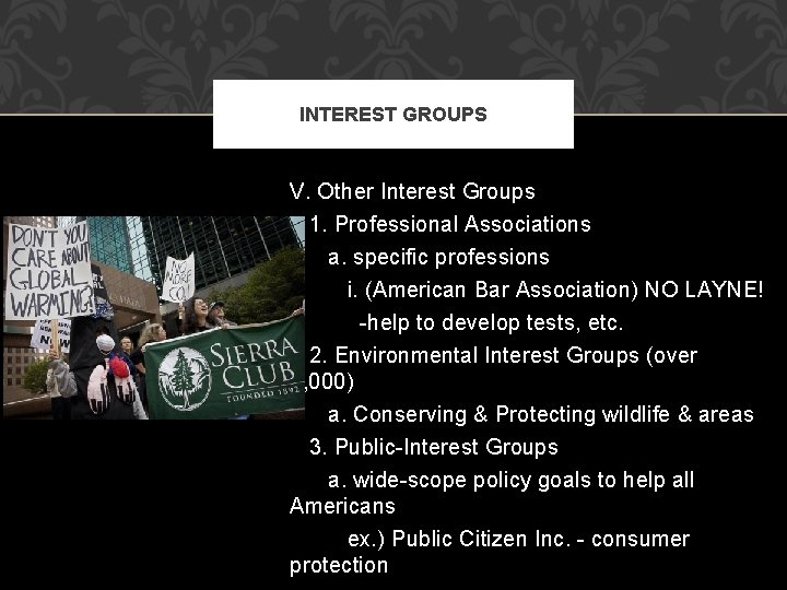 INTEREST GROUPS V. Other Interest Groups 1. Professional Associations a. specific professions i. (American