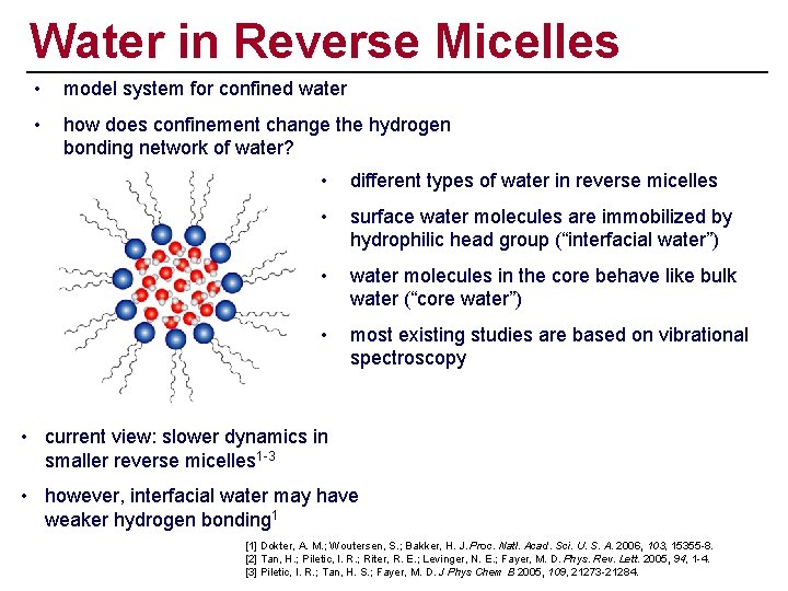 Water in Reverse Micelles • model system for confined water • how does confinement