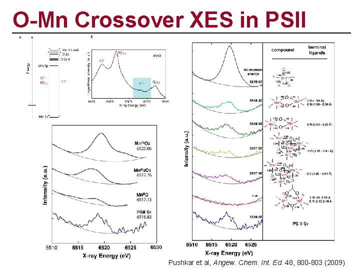 O-Mn Crossover XES in PSII Pushkar et al, Angew. Chem. Int. Ed. 48, 800