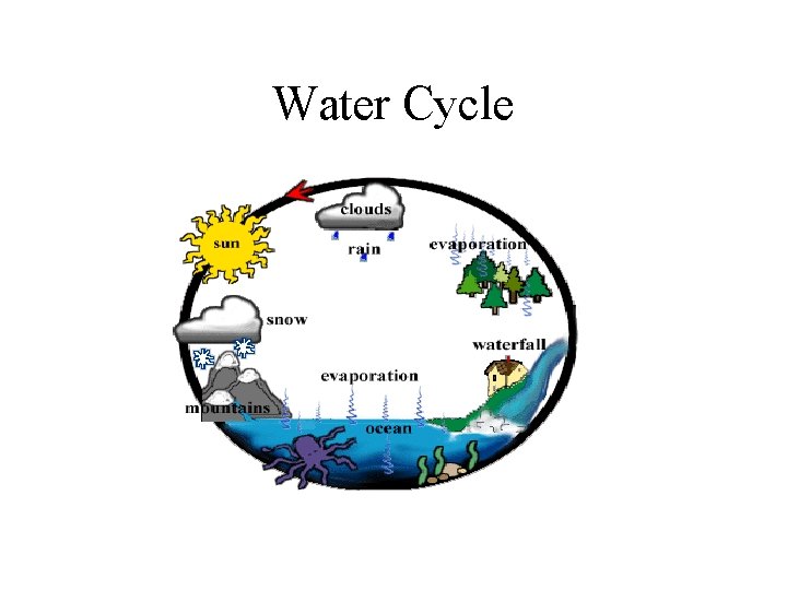 Water Cycle 