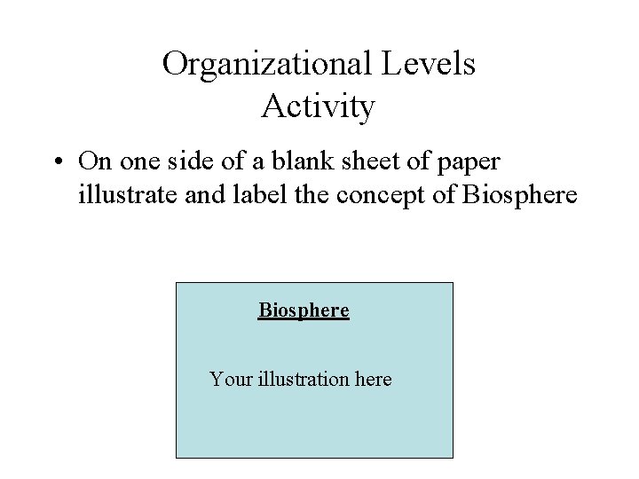 Organizational Levels Activity • On one side of a blank sheet of paper illustrate