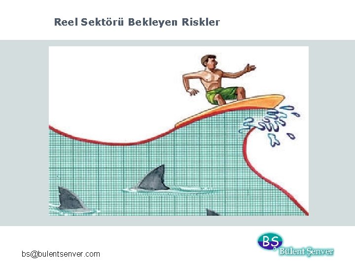 Reel Sektörü Bekleyen Riskler bs@bulentsenver. com 