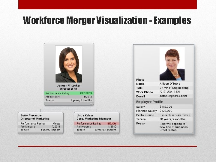 Workforce Merger Visualization - Examples 