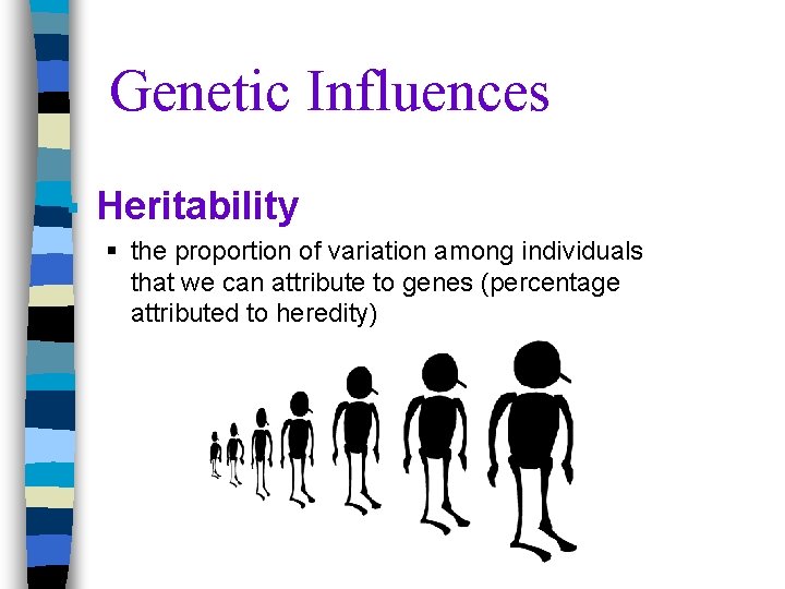 Genetic Influences § Heritability § the proportion of variation among individuals that we can