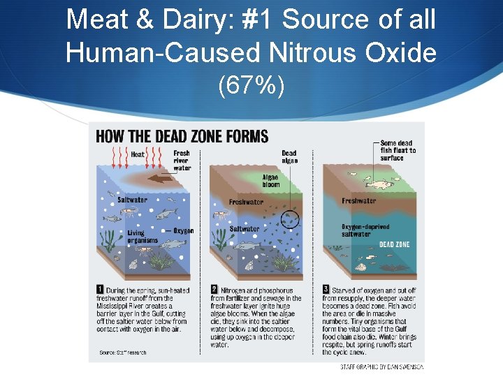 Meat & Dairy: #1 Source of all Human-Caused Nitrous Oxide (67%) 