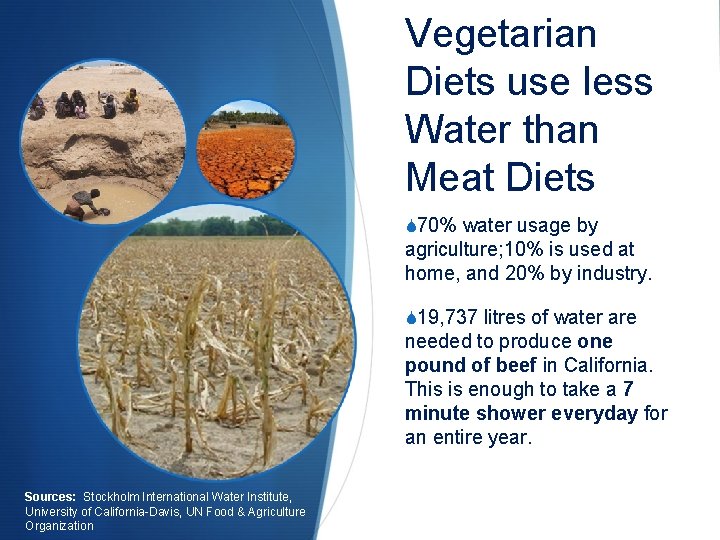 Vegetarian Diets use less Water than Meat Diets 70% water usage by agriculture; 10%