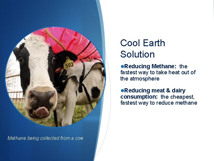 Cool Earth Solution Reducing Methane: the fastest way to take heat out of the