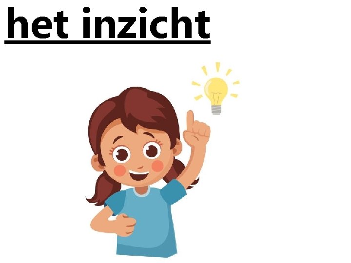 het inzicht 