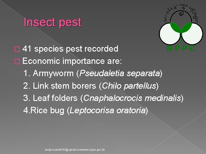 Insect pest � 41 species pest recorded � Economic importance are: 1. Armyworm (Pseudaletia