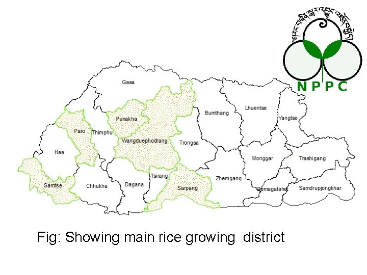 Fig: Showing main rice growing district dorjisonam 2010@ gmail. com/www. nppc. gov. bt 