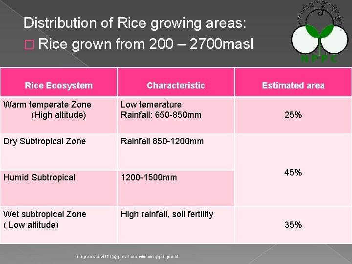 Distribution of Rice growing areas: � Rice grown from 200 – 2700 masl Rice