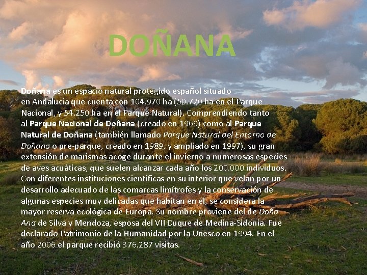 DOÑANA Doñana es un espacio natural protegido español situado en Andalucía que cuenta con