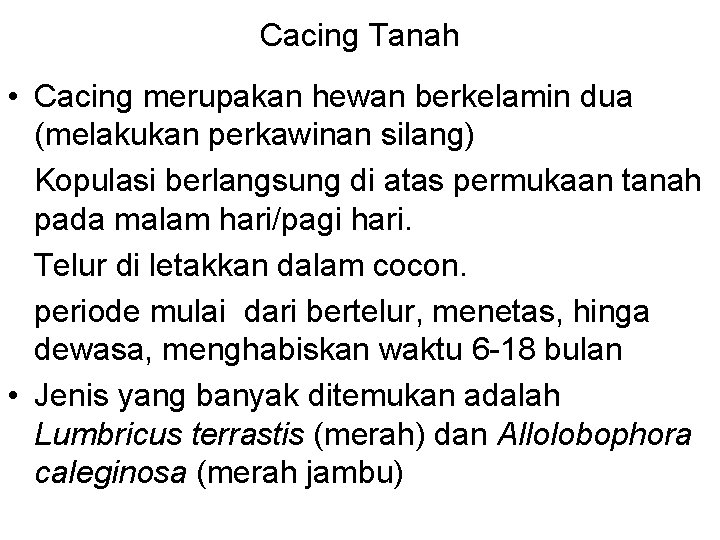 Cacing Tanah • Cacing merupakan hewan berkelamin dua (melakukan perkawinan silang) Kopulasi berlangsung di