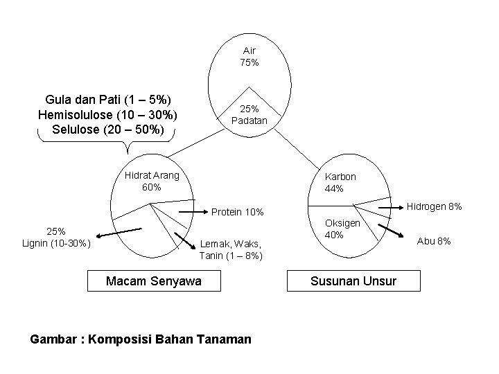 Air 75% Gula dan Pati (1 – 5%) Hemisolulose (10 – 30%) Selulose (20