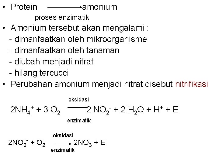  • Protein amonium proses enzimatik • Amonium tersebut akan mengalami : - dimanfaatkan