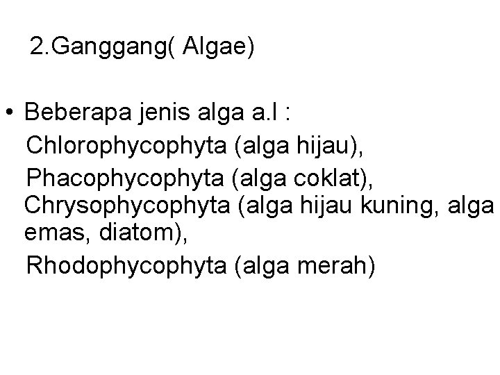 2. Ganggang( Algae) • Beberapa jenis alga a. l : Chlorophycophyta (alga hijau), Phacophyta