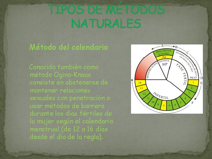 TIPOS DE MÉTODOS NATURALES Método del calendario Conocido también como método Ogino-Knaus consiste en