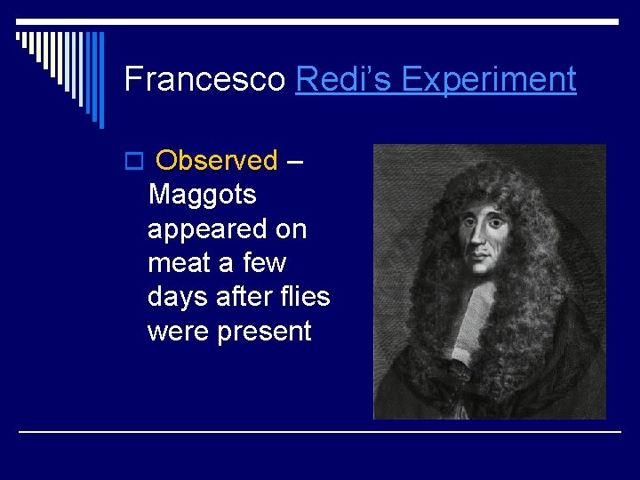 Francesco Redi’s Experiment o Observed – Maggots appeared on meat a few days after