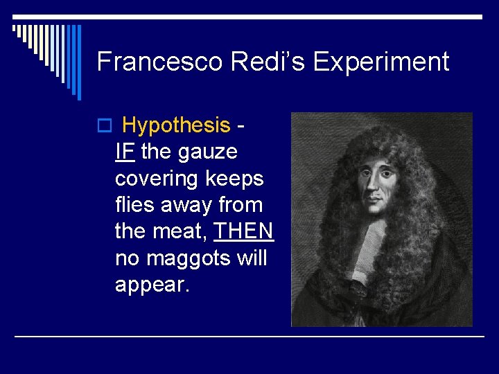 Francesco Redi’s Experiment o Hypothesis - IF the gauze covering keeps flies away from