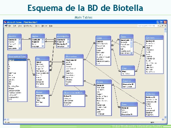 Esquema de la BD de Biotella Main Tables Global Biodiversity Information Facility 