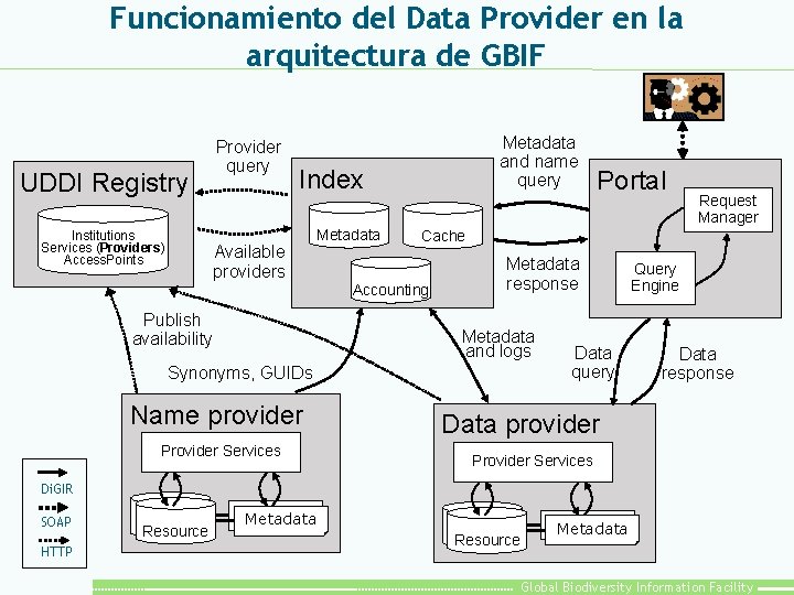 Funcionamiento del Data Provider en la arquitectura de GBIF Provider query UDDI Registry Institutions