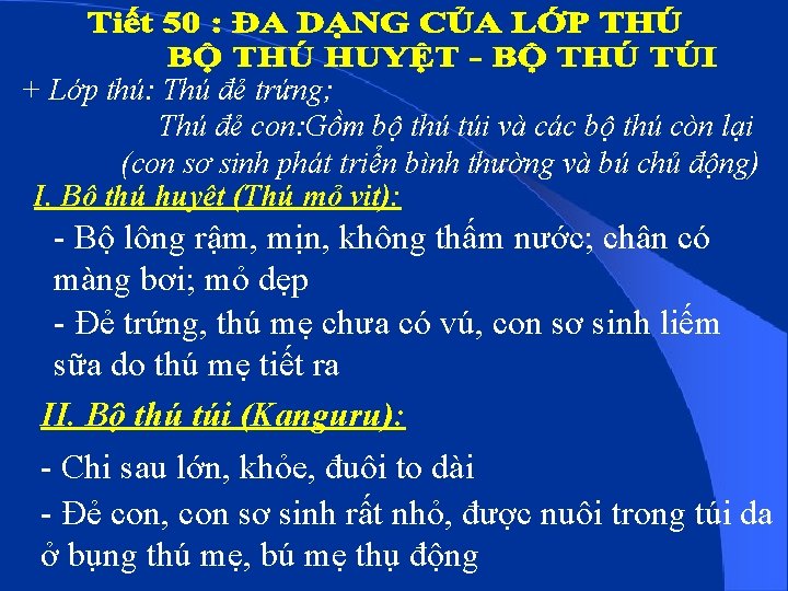 + Lớp thú: Thú đẻ trứng; Thú đẻ con: Gồm bộ thú túi và