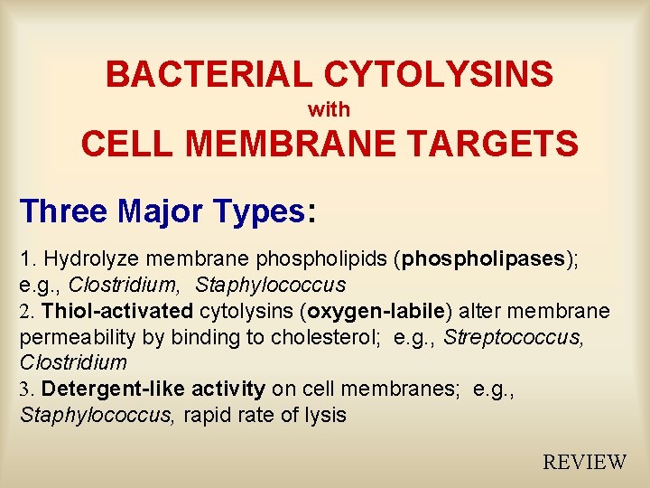 BACTERIAL CYTOLYSINS with CELL MEMBRANE TARGETS Three Major Types: 1. Hydrolyze membrane phospholipids (phospholipases);