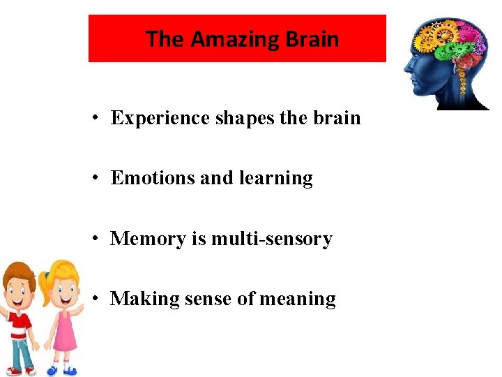 The Amazing Brain • Experience shapes the brain • Emotions and learning • Memory