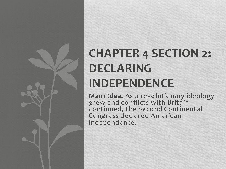 CHAPTER 4 THE REVOLUTIONARY ERA The Big Picture