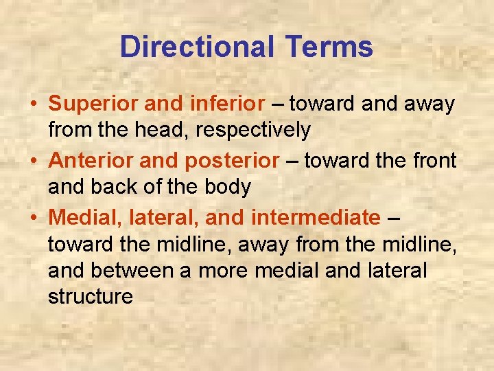 Directional Terms • Superior and inferior – toward and away from the head, respectively