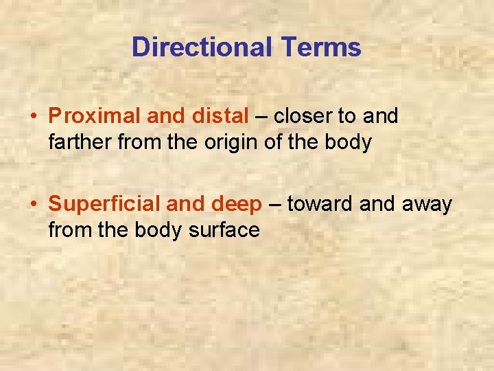 Directional Terms • Proximal and distal – closer to and farther from the origin