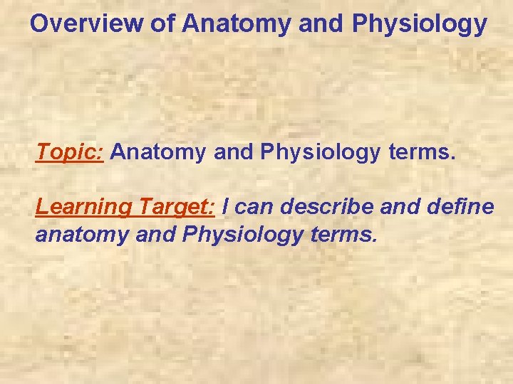 Overview of Anatomy and Physiology Topic: Anatomy and Physiology terms. Learning Target: I can