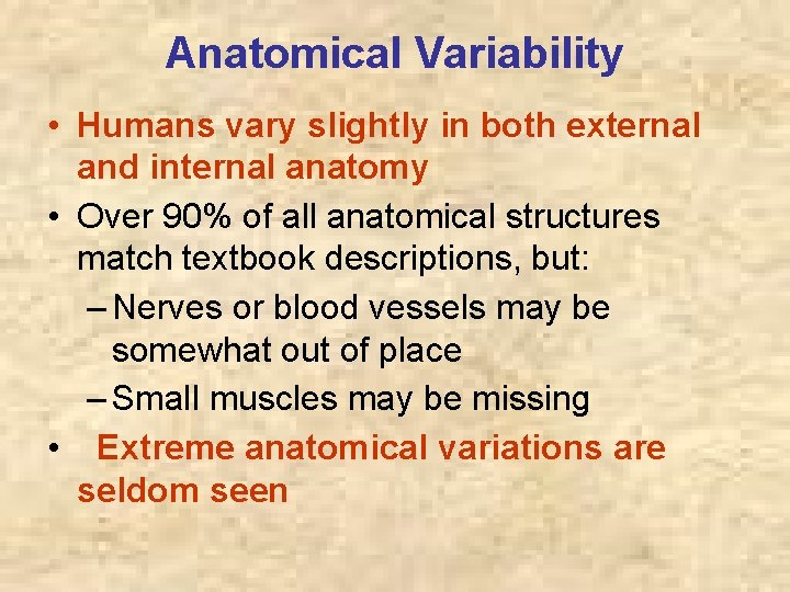 Anatomical Variability • Humans vary slightly in both external and internal anatomy • Over