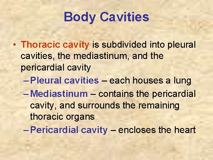 Body Cavities • Thoracic cavity is subdivided into pleural cavities, the mediastinum, and the