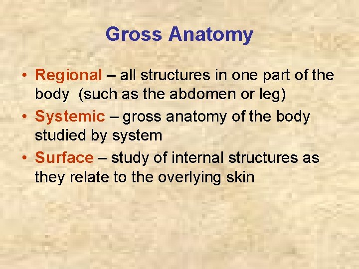 Gross Anatomy • Regional – all structures in one part of the body (such