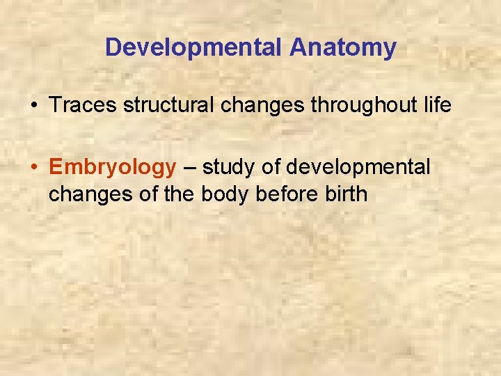 Developmental Anatomy • Traces structural changes throughout life • Embryology – study of developmental