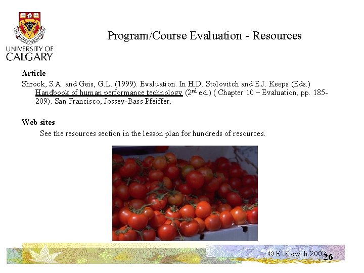 Program/Course Evaluation - Resources Article Shrock, S. A. and Geis, G. L. (1999). Evaluation.