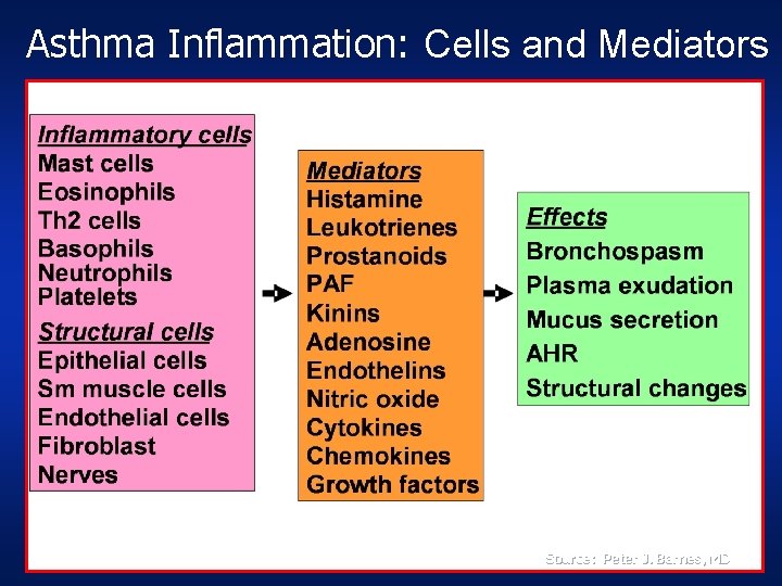 Asthma Inflammation: Cells and Mediators Source: Peter J. Barnes, MD  Asthma Inflammation: Cells and Mediators Source: Peter J. Barnes, MD