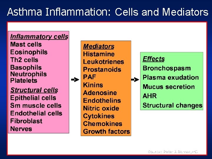 Asthma Inflammation: Cells and Mediators Source: Peter J. Barnes, MD 