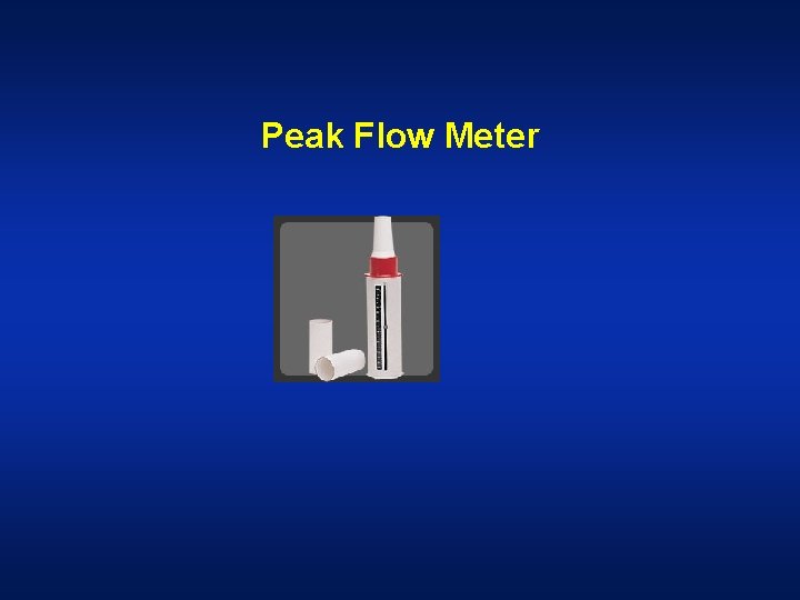 Peak Flow Meter 