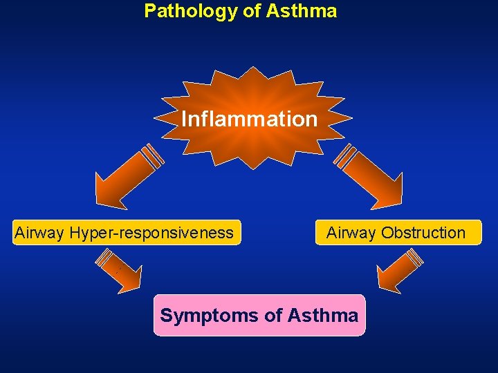 Pathology of Asthma Inflammation Airway Hyper-responsiveness Airway Obstruction Symptoms of Asthma  Pathology of Asthma Inflammation Airway Hyper-responsiveness Airway Obstruction Symptoms of Asthma